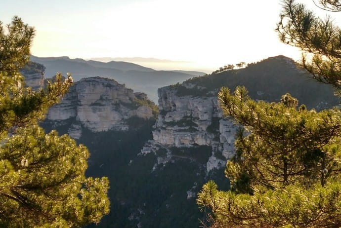 Tinença de Benifassà