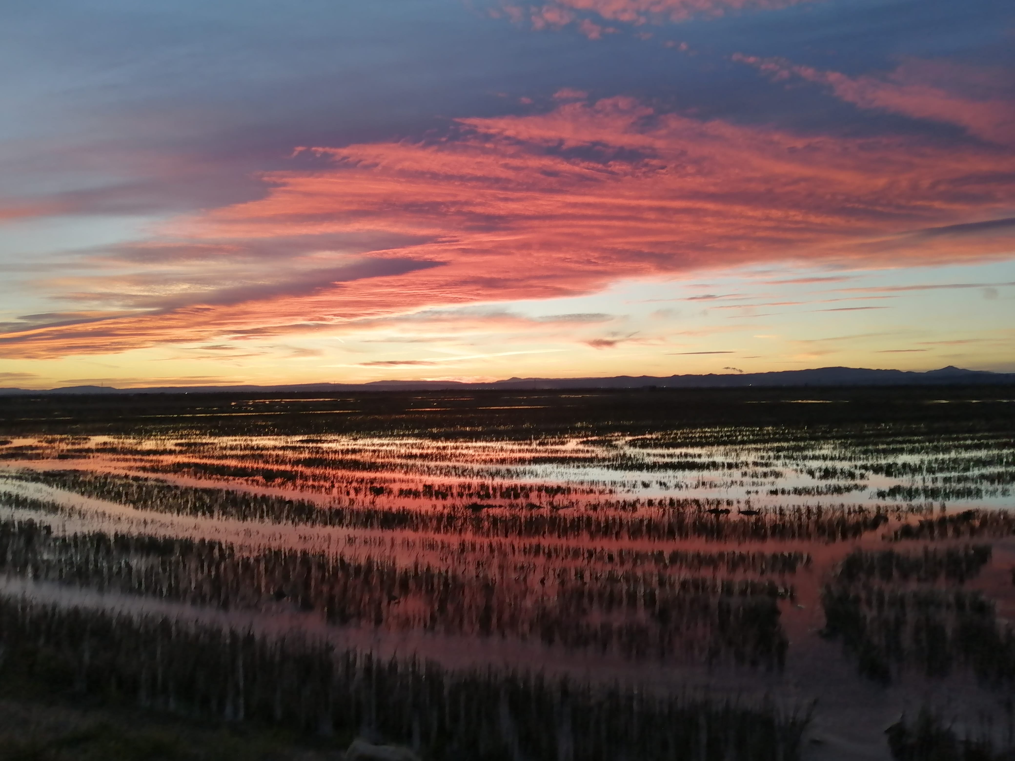 Puesta de sol en la Albufera