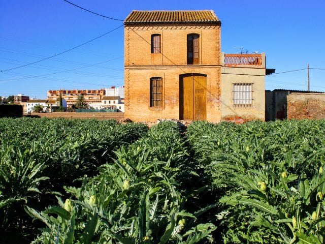 huerta valenica