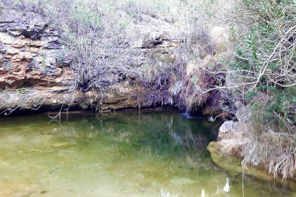 charco de las tortugas