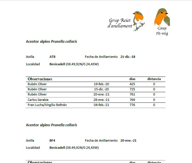 Observaciones del acentor alpino AT8