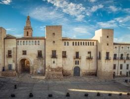 Palau Marquesal del Milà i Aragó (Albaida)