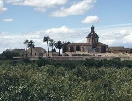 Cartuja de Ara Christi (El Puig)