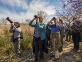 Birders - Valencia birding 