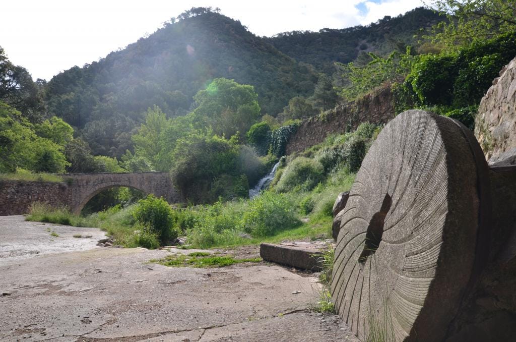 The Hiking Trail through the Mediterranean Jungle of Espadán region of Valencia