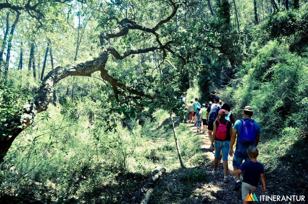 Sierra de Espadán