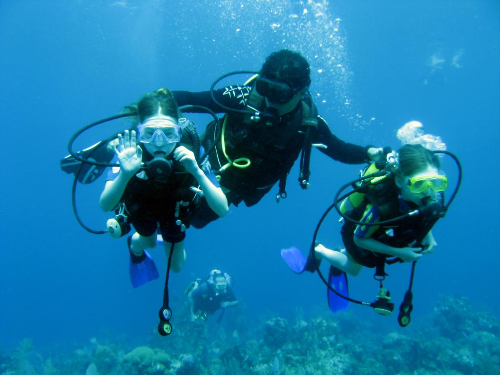 Súmergete en la aventura con Dive&Dive