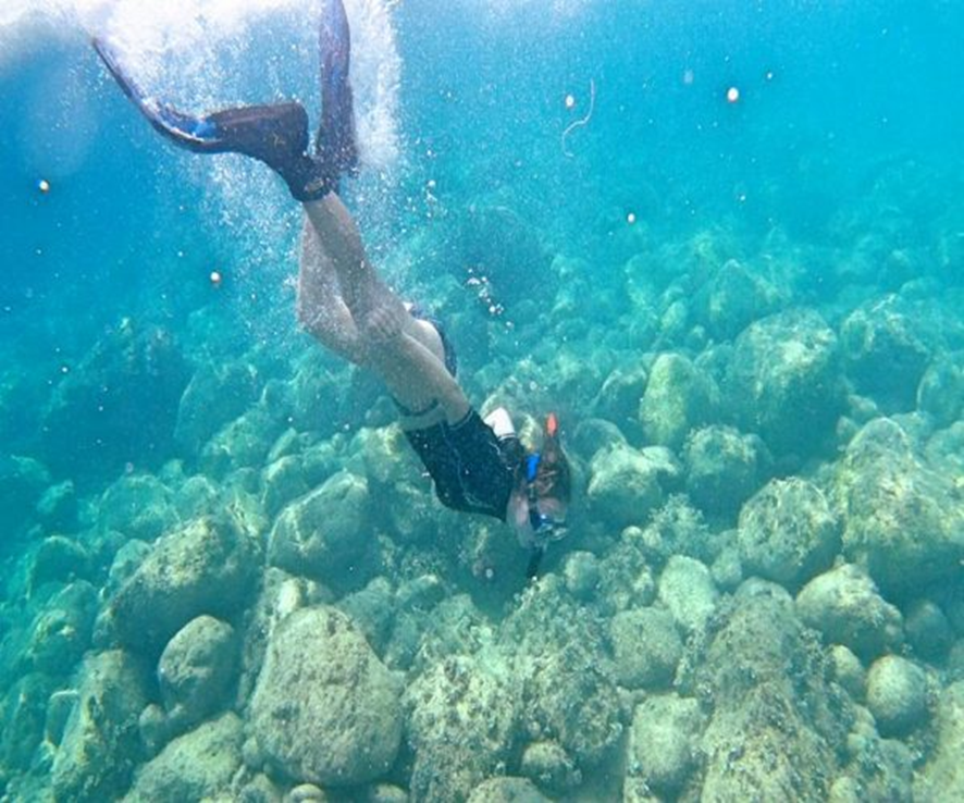 Descubre los fondos marinos del Mediterráneo con Delfín Cullera