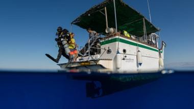 Pecios La Vila Joiosa buceo