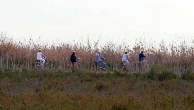 Rutas por la Albufera de Valencia