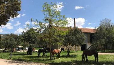 rural morella