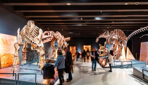 El mayor dinosaurio del mundo llega a Valencia con la exposición ‘Dinosaurios de la Patagonia’