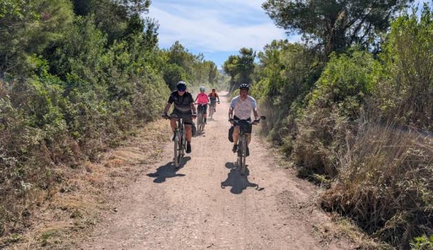 Pedalea entre viñedos, arrozales y mar: descubre la esencia del Mediterráneo