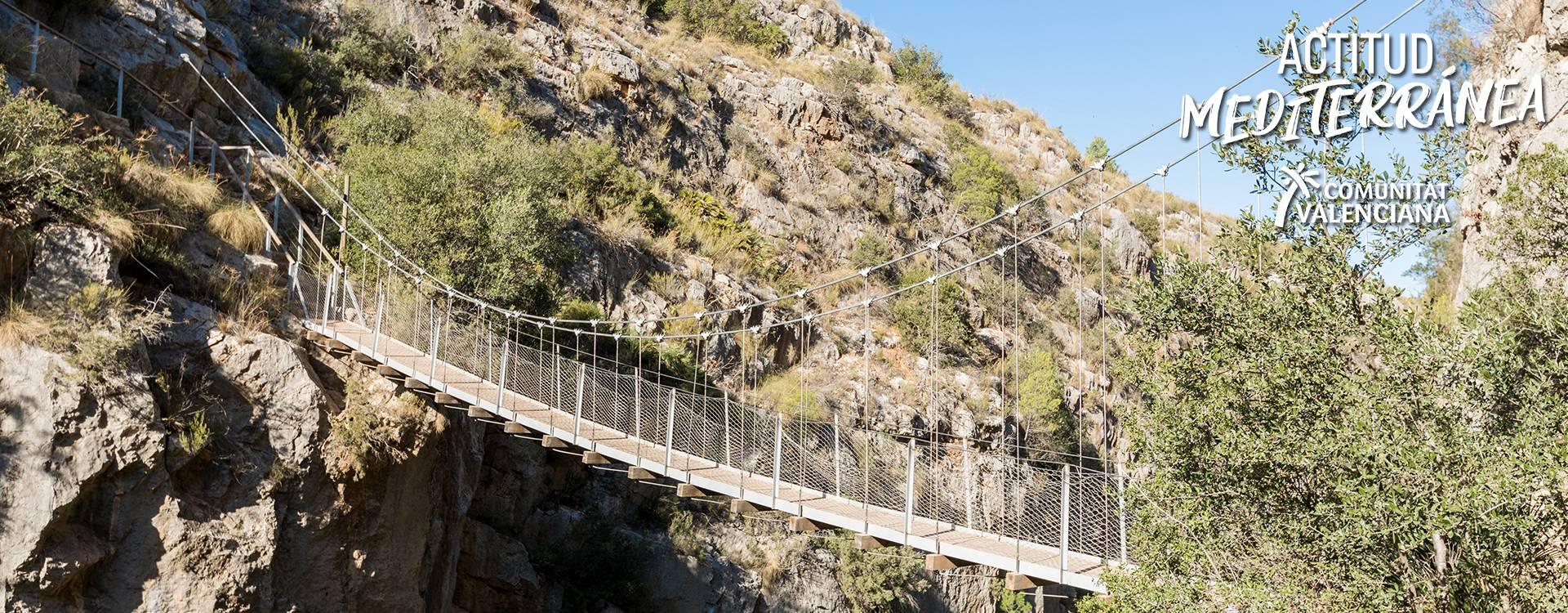 hanging bridge in a natural environment